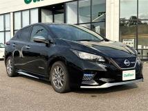 2019 Nissan Leaf