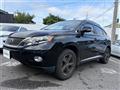2009 Lexus RX