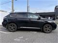 2009 Lexus RX