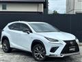 2019 Lexus NX