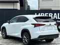 2019 Lexus NX