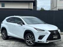 2019 Lexus NX