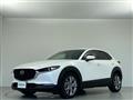2021 Mazda CX-3