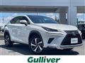 2018 Lexus NX
