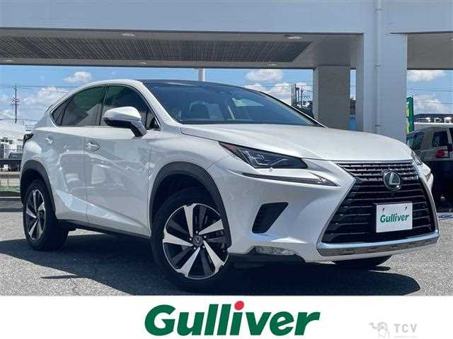 2018 Lexus NX
