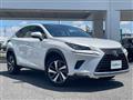 2018 Lexus NX