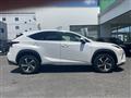 2018 Lexus NX