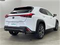 2019 Lexus UX