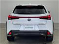2019 Lexus UX