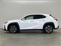 2019 Lexus UX