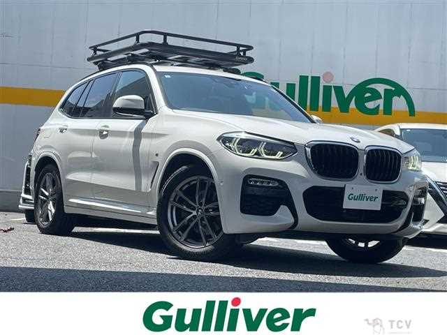 2019 BMW X3