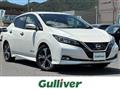 2019 Nissan Leaf