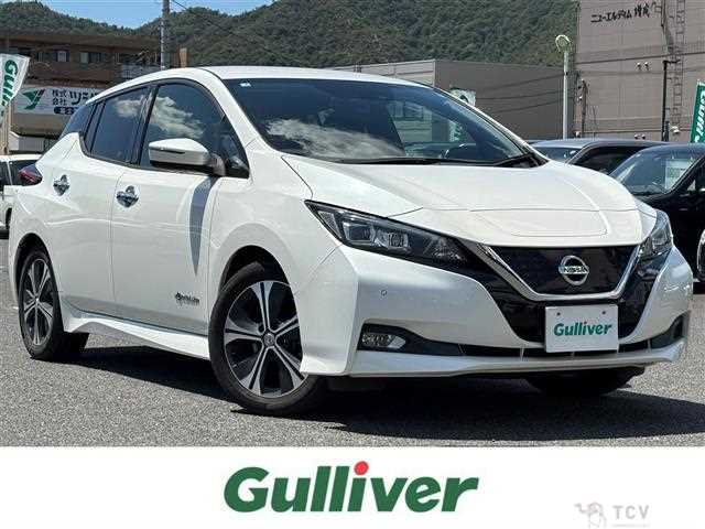 2019 Nissan Leaf