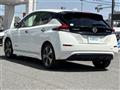 2019 Nissan Leaf