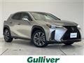 2020 Lexus UX