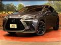 2024 Lexus NX