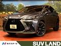 2024 Lexus NX
