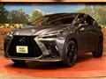 2024 Lexus NX