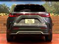 2024 Lexus NX