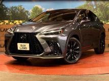 2024 Lexus NX
