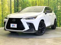 2023 Lexus NX