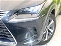 2017 Lexus NX