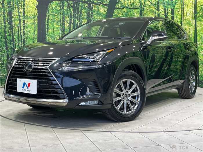 2019 Lexus NX