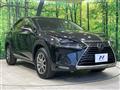 2019 Lexus NX