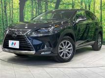 2019 Lexus NX