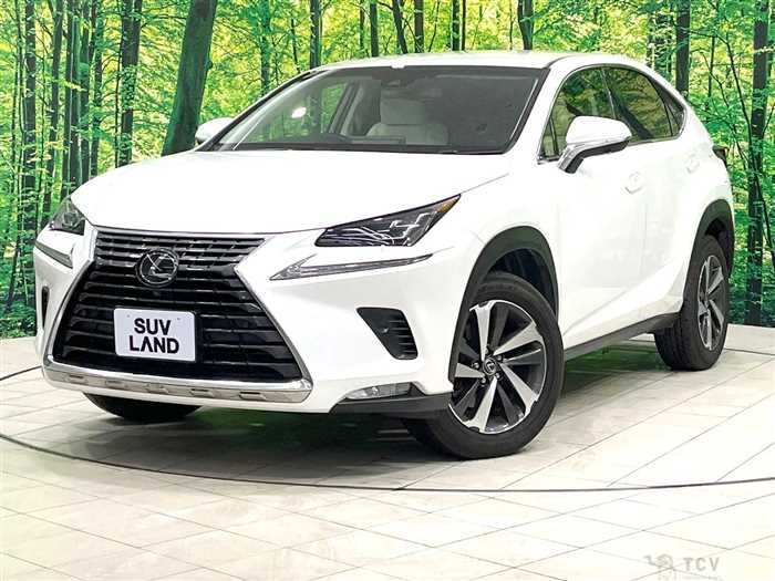2018 Lexus NX