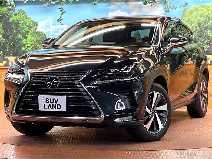 2020 Lexus NX
