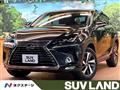 2020 Lexus NX