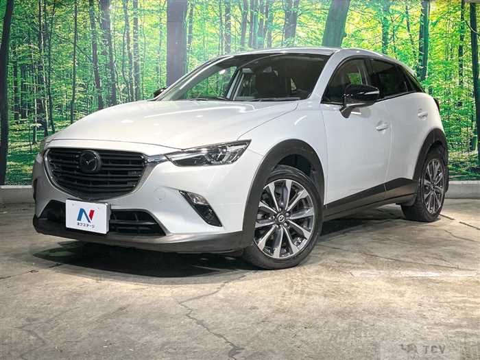 2019 Mazda CX-3