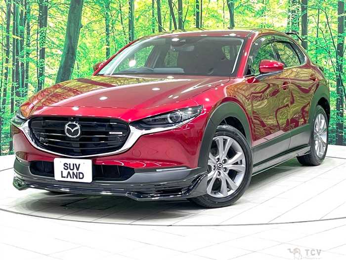 2019 Mazda Mazda Others
