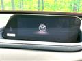 2019 Mazda Mazda Others