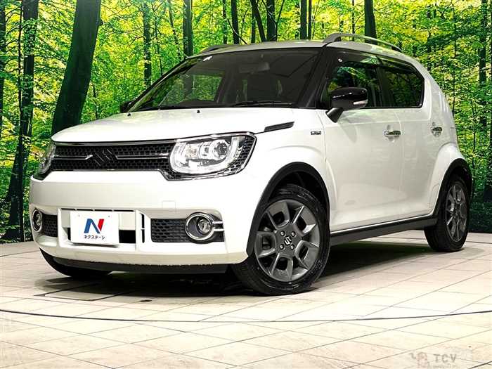 2019 Suzuki Suzuki Others