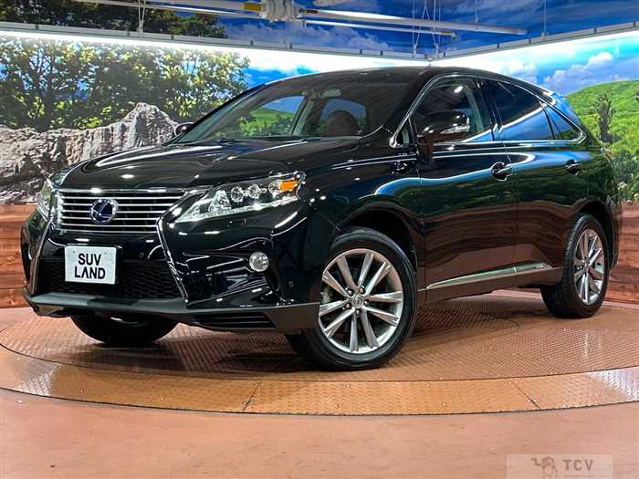 2013 Lexus RX