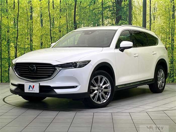 2017 Mazda CX-8