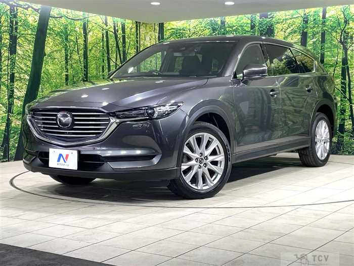 2018 Mazda CX-8