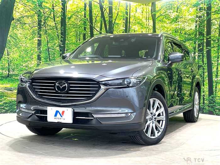 2018 Mazda CX-8