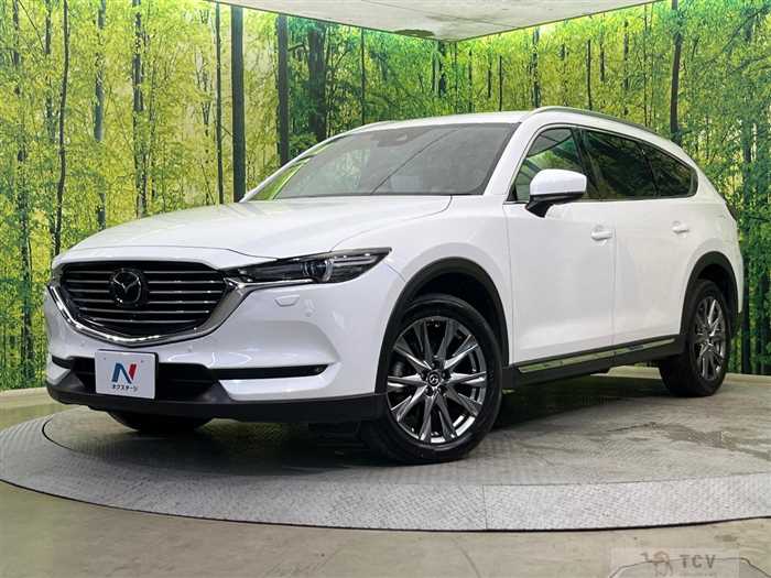 2019 Mazda CX-8