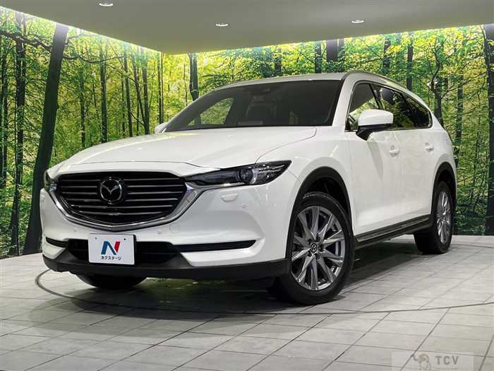 2019 Mazda CX-8
