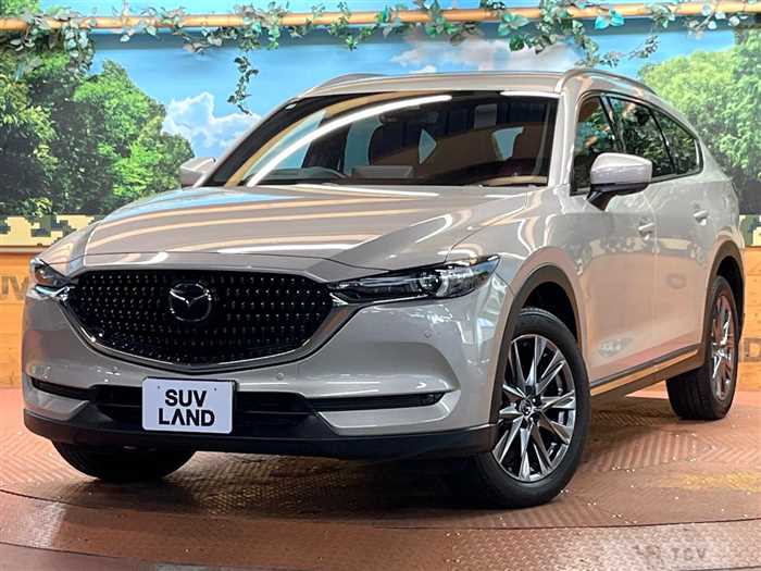 2022 Mazda CX-8