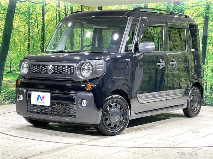 2019 Suzuki Suzuki Others