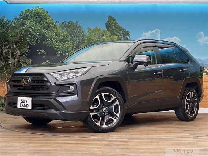 2019 Toyota RAV4