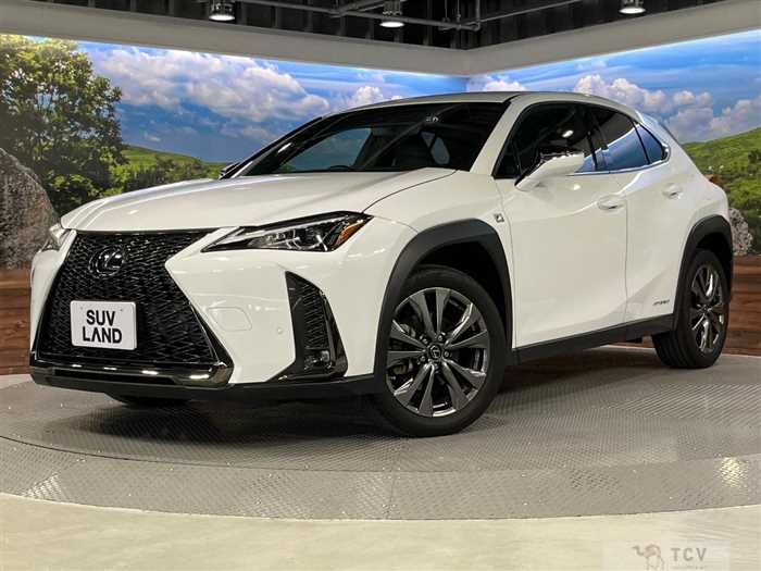 2020 Lexus Other