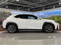 2020 Lexus Other