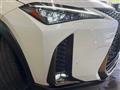 2020 Lexus Other