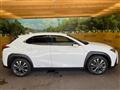 2020 Lexus Other