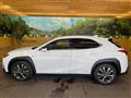 2020 Lexus Other